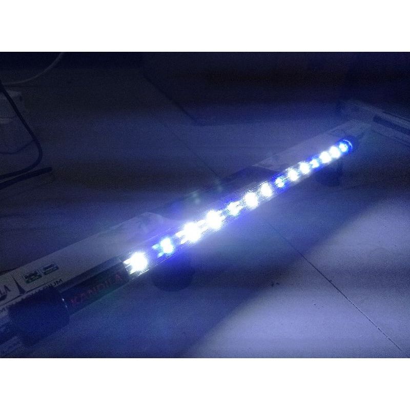 Lampu celup aquarium 2LED KANDILA Z50