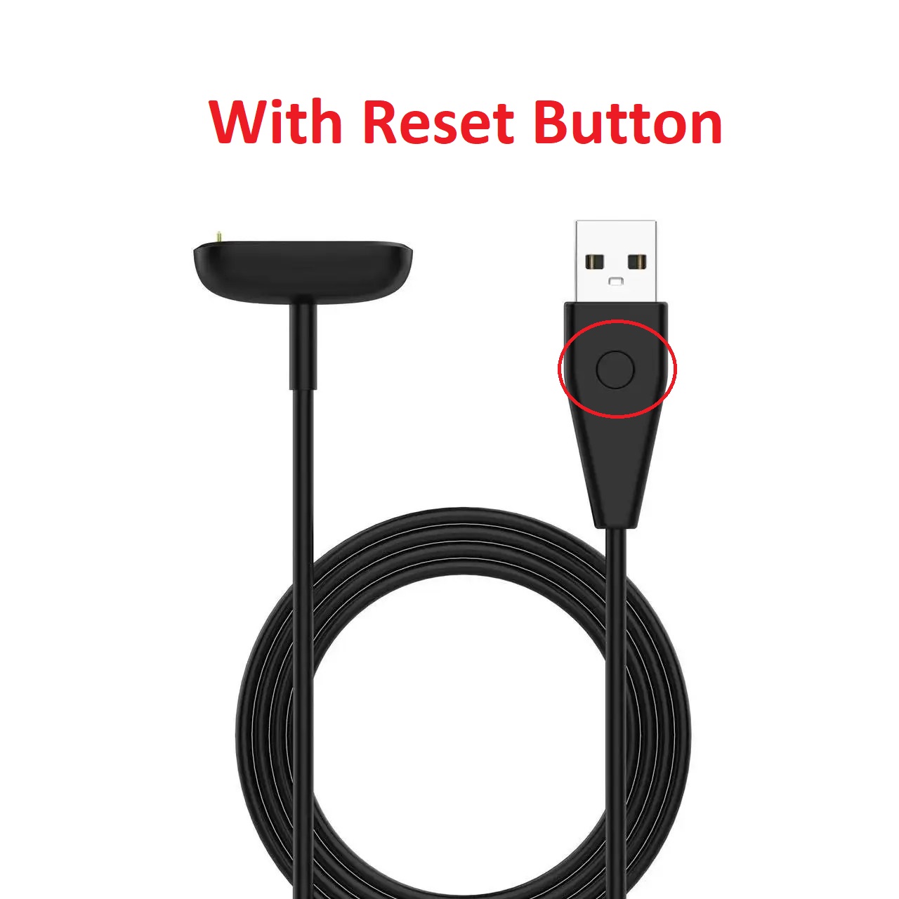 Kachi Si Aas Ki Dori Lyrics Tere Bin Ek Pal Dil Naiyo Lagda Aa Ab