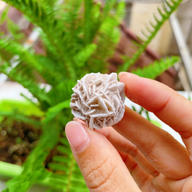 Hoa hồng sa mạc (Desert Rose) viên lẻ, Tinh thể đá