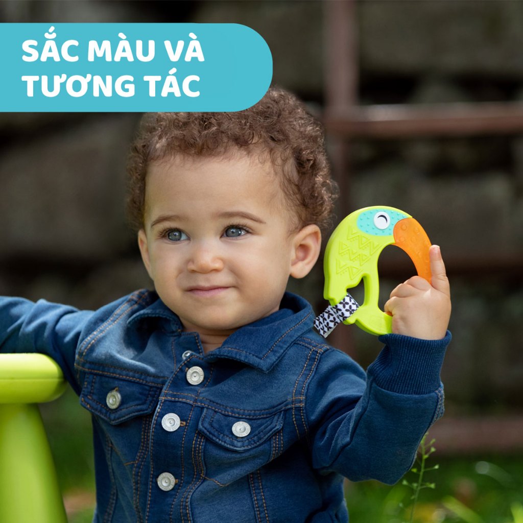 Gặm nướu hình vẹt vui nhộn Chicco