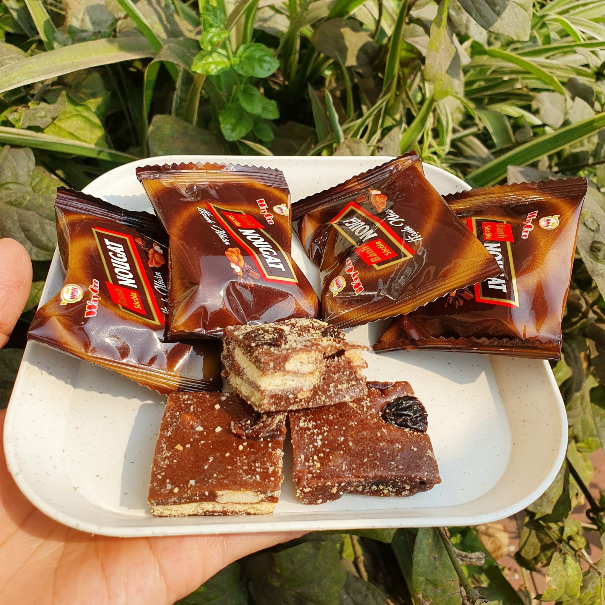 Bánh Nougat socola 250g