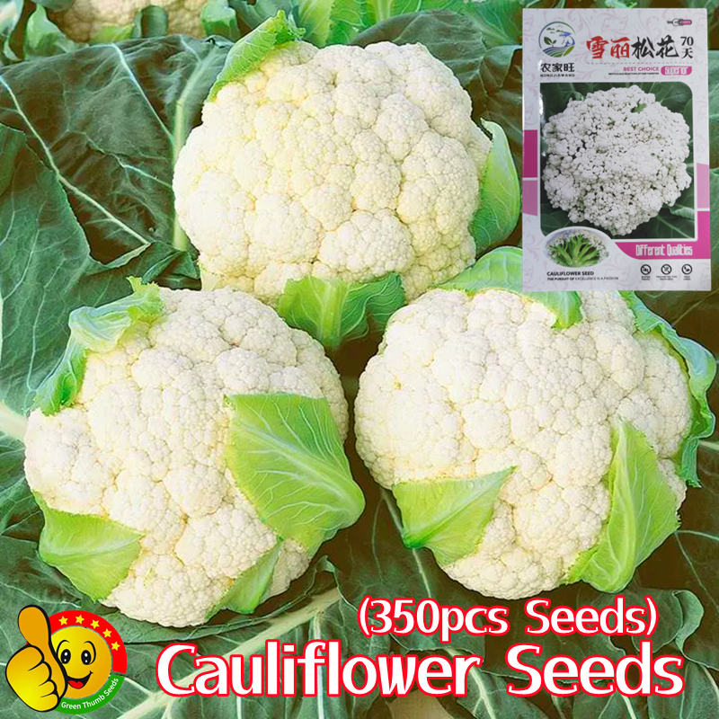 100% Original High Yield 45 Days Organic Cauliflower Vegetable Seeds ...