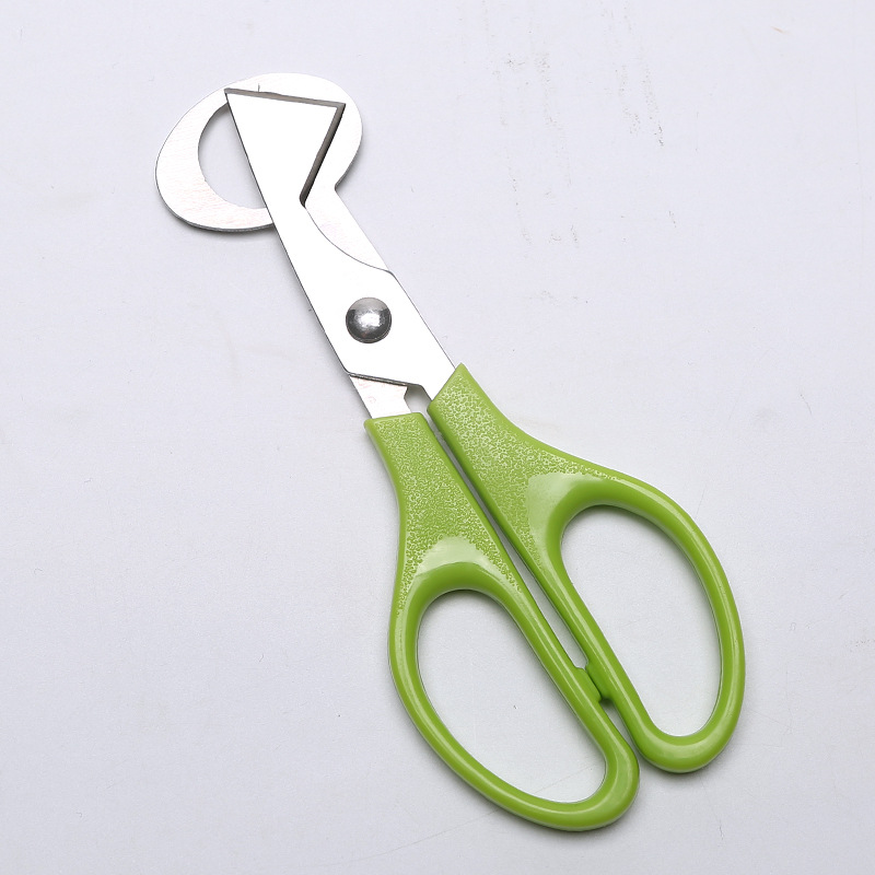 Egg opener Quail egg scissors Bird egg scissors Stainless steel egg shears Egg cutter Eggshell cutter Egg opener