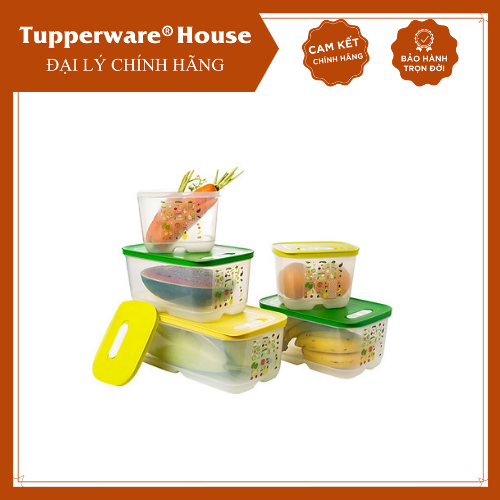 Bộ hộp trữ mát có nút hô hấp Tupperware Ventsmart (Set 5)