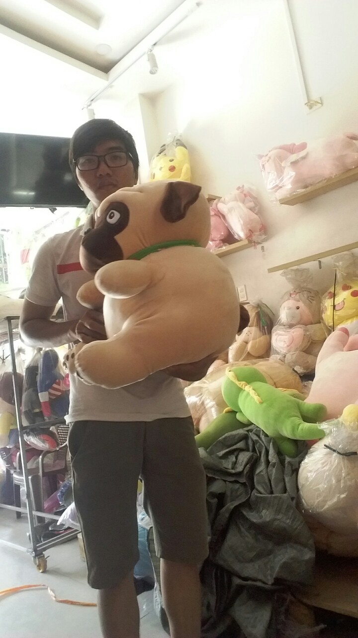 Gấu bông chó mặt xệ Chó Pug