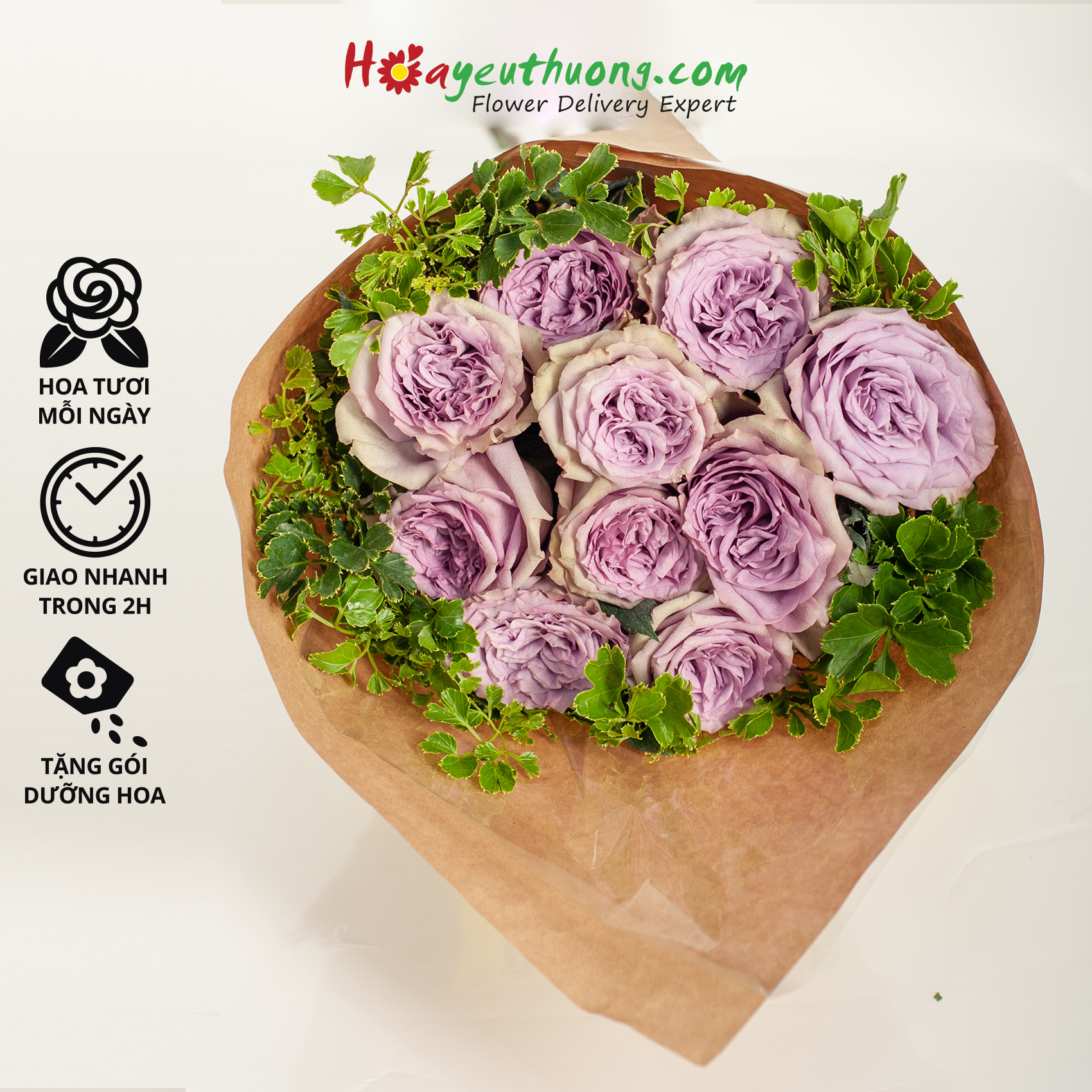Purple O hara - Combo hoa mix sẵn Hoayeuthuong, hoa Đà Lạt tươi cắm trang trí nhà cửa, văn phòng