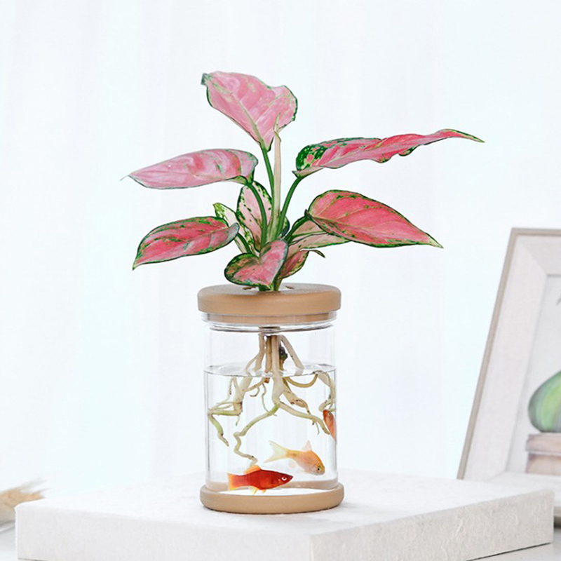 Zonee trong suốt Chậu hoa Thủy Canh tự động thấm nước Chậu hoa nhựa chậu hoa