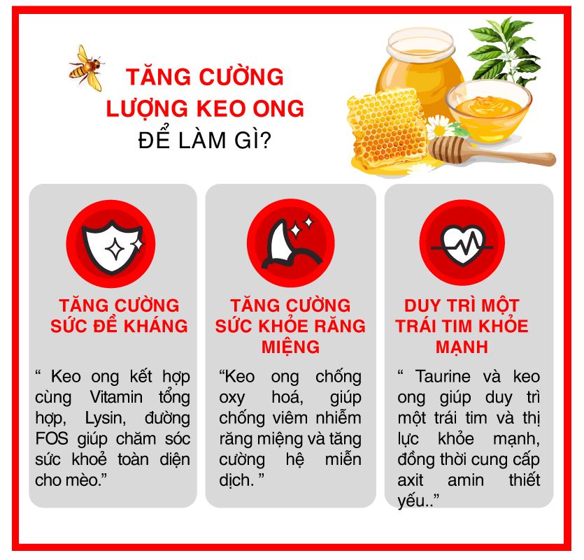 [Hoàn Tiền 10%] Hạt thức ăn cho mèo mọi lứa tuổi Today's dinner