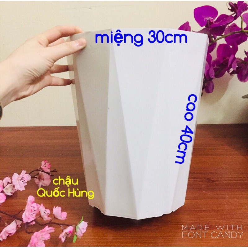 Combo 5 chậu kim cương 40x30cm