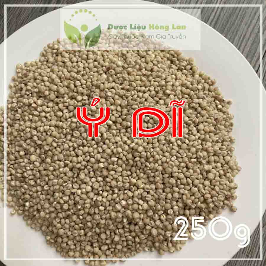 ✅ 100g hạt ý dĩ đẹp loại 1 -