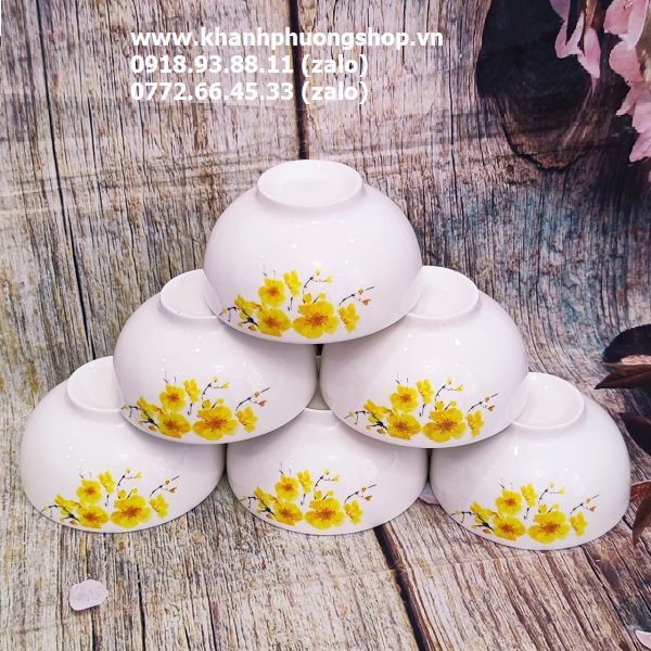 [HCM]bộ 10 chén sứ ăn cơm - chén sứ ăn cơm