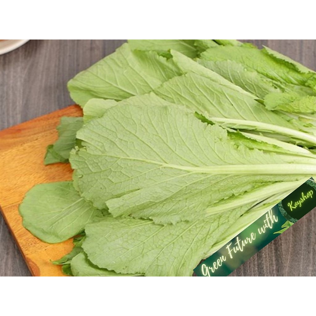 Hạt giống Cải Bẹ Xanh Mỡ Rado 57 20gr