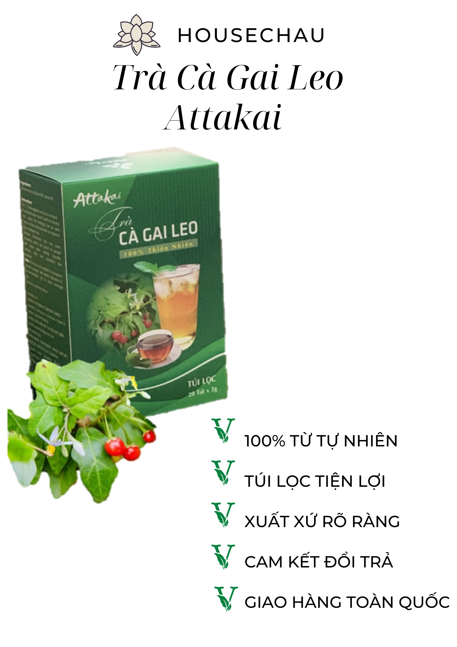 Trà cà gai leo - Giúp Giải Độc Gan - Mát Gan - Tăng cường chức năng gan