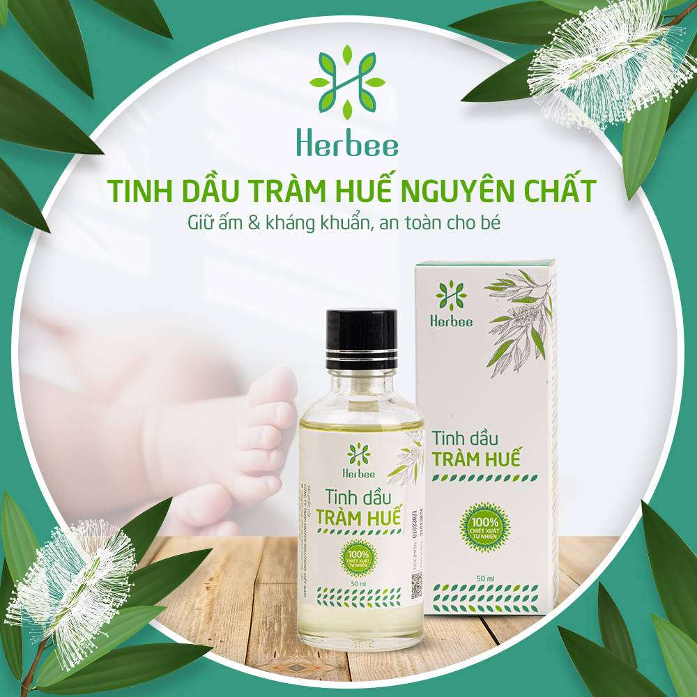 Tinh Dầu Tràm Huế Herbee Nguyên Chất