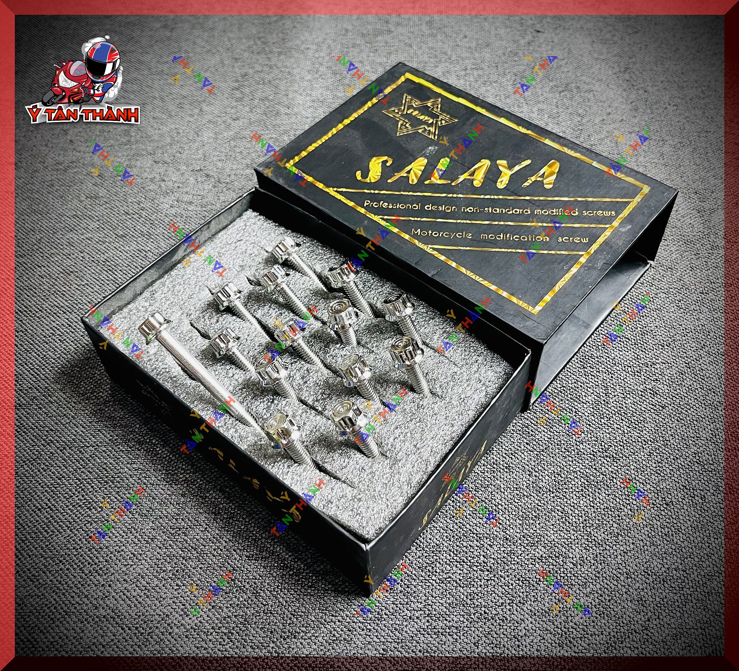 Bộ ốc lốc máy salaya v2 cho vision 2016-2019 ms147