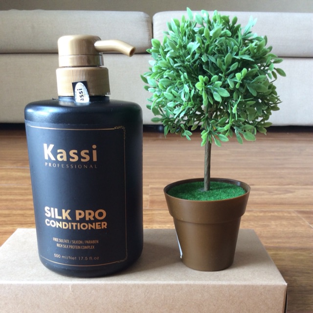 Dầu gội xả phục hồi tóc hư tổn Kassi Silk Pro 500mlx2
