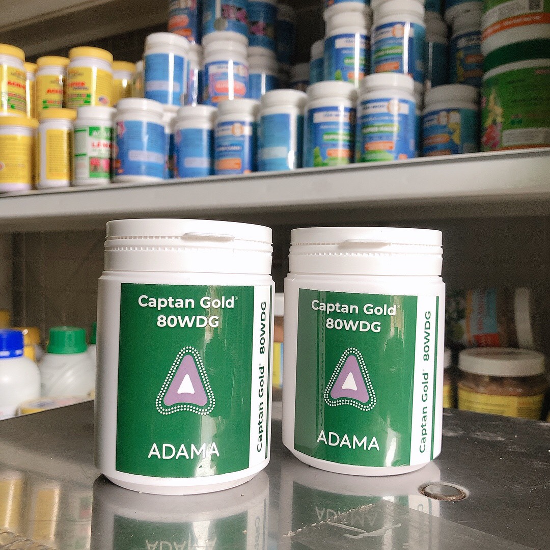 Trừ Nấm, Thối Nhũn - captangold MỸ- 100g