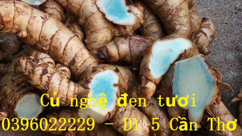 Củ nghệ đen nhà trồng 1 ký (loại tươi)