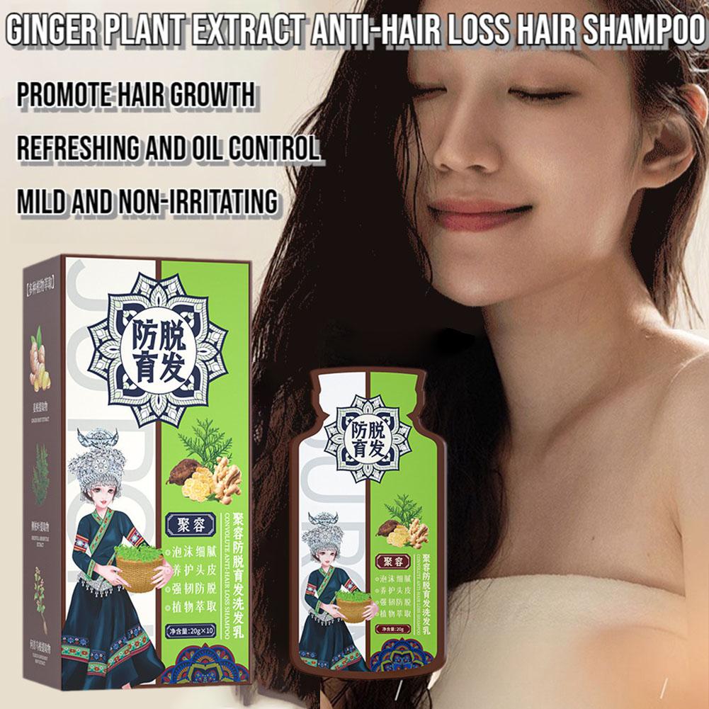 Ginger Plant Extract Hair Shampoo AntiHair Loss Hair Antidrying