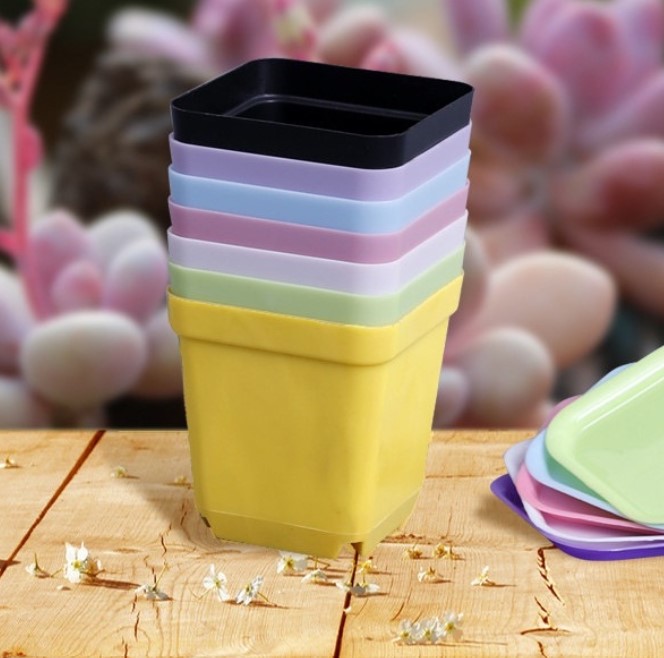 Chậu nhựa kích thước 7x7cm trồng sen đá