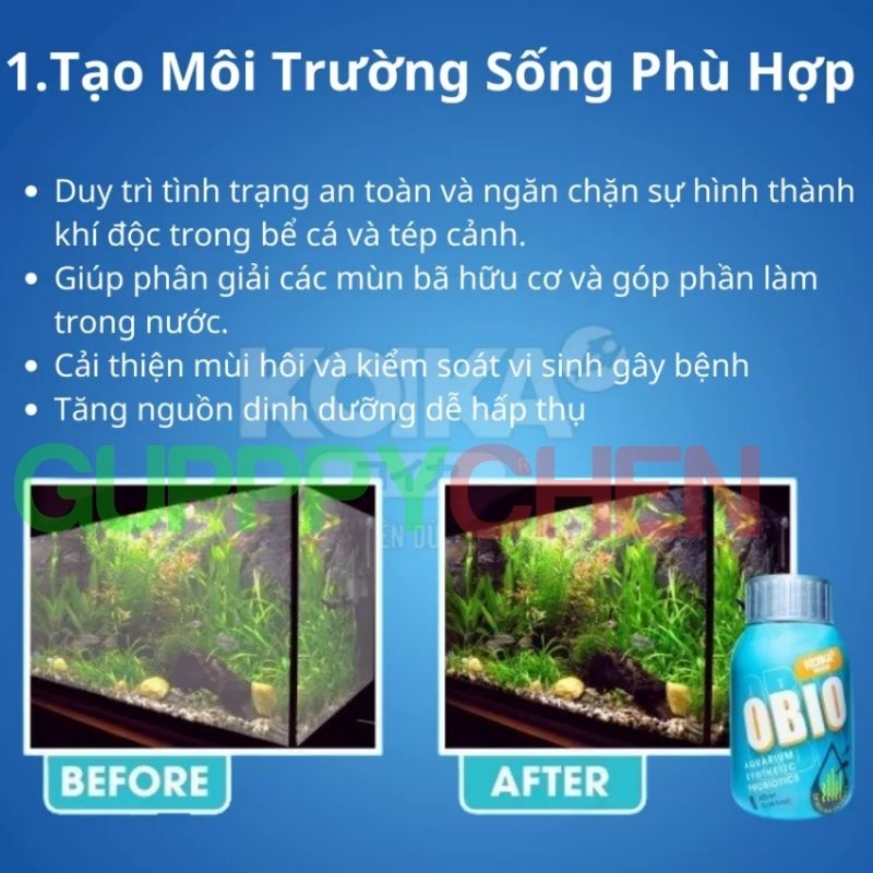 Men Vi Sinh KoiKa OBIO - Vi Sinh Cao Cấp Cho Hồ Cá