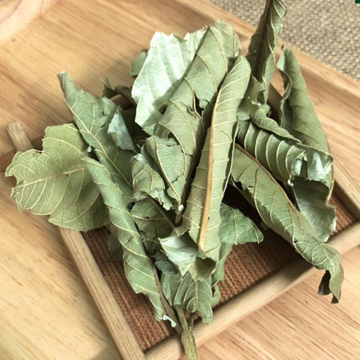 Lá Ổi 500g - Hàng Công Ty Chất Lượng