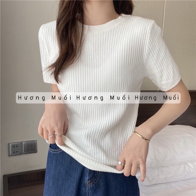 Áo Len Tăm Đũa Cộc Tay Cổ Tròn Basic