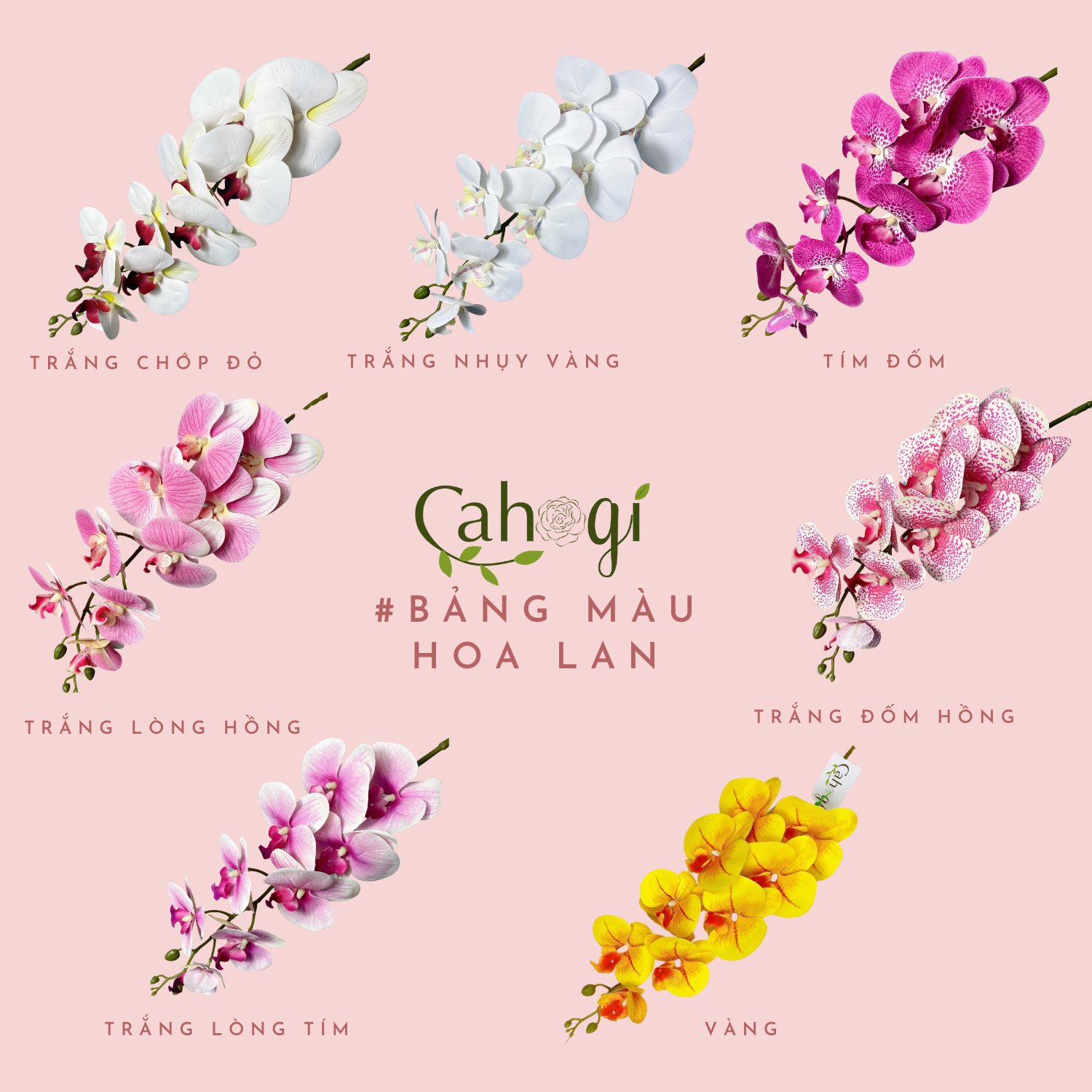 Cành Lan Cao Su Giả 9 Bông Cỡ Lớn
