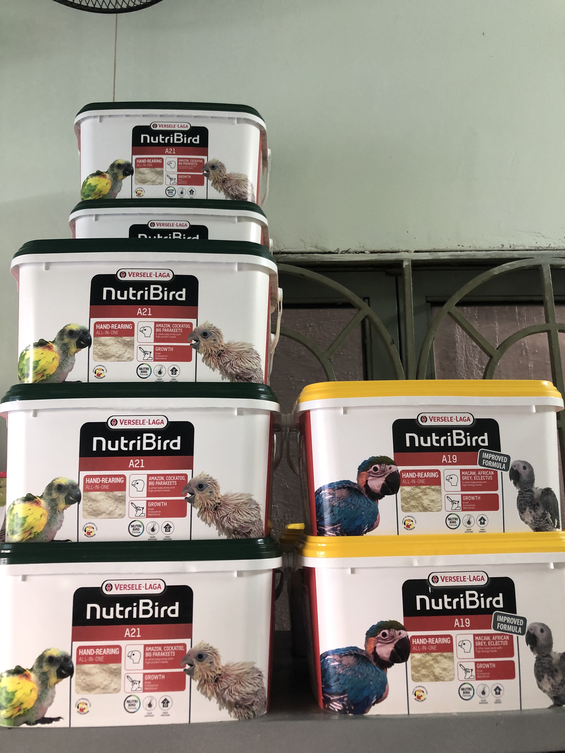 Bột cho vẹt a21/A19 50k/ 100gr (thùng 3kg chiết lẻ)