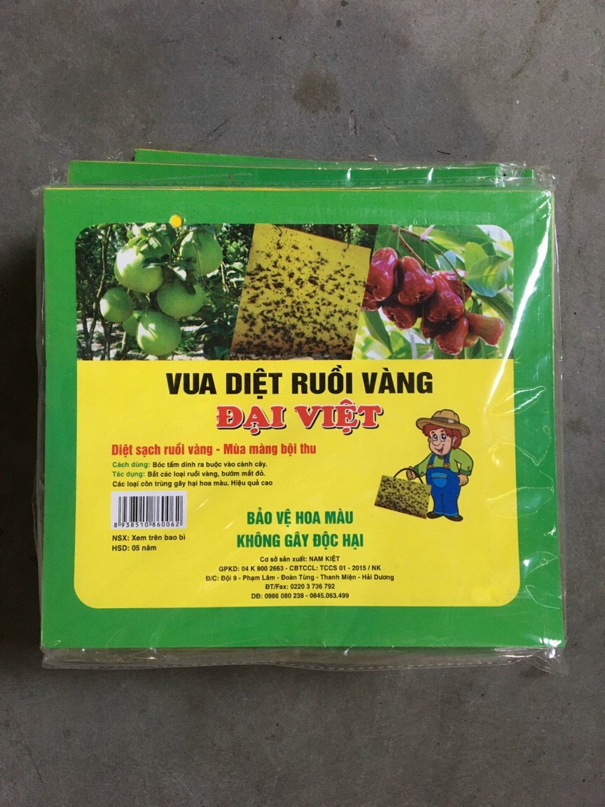 Combo 10 miếng dán bẫy ruồi vàng, bướm, phấn trắng, côn trùng siêu dính