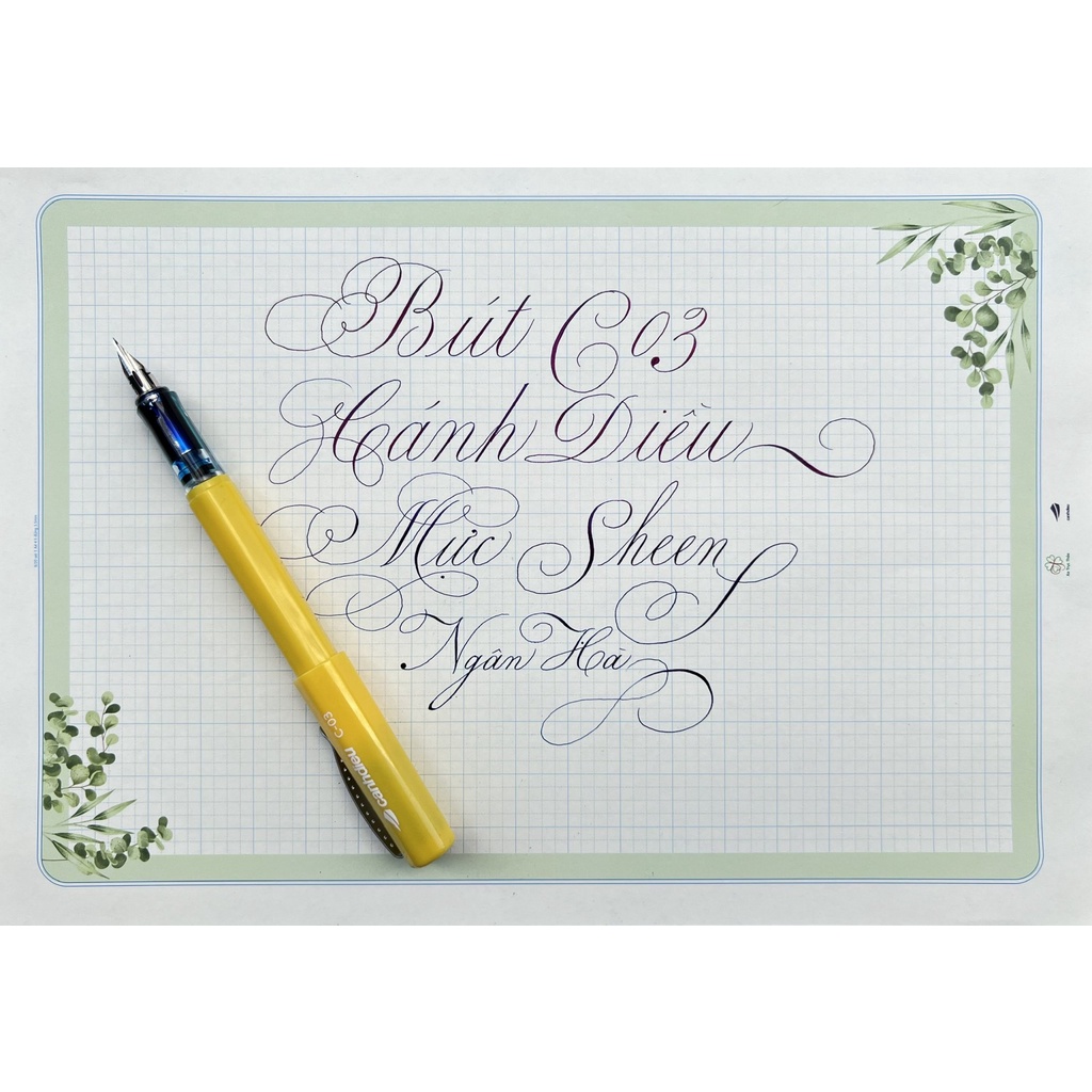 Bút Cánh Diều C03 - bút ngòi Calligraphy