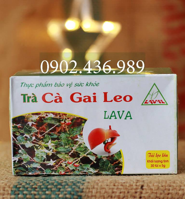 TRÀ CÀ GAI LEO