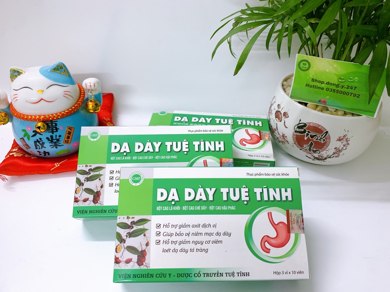 ✅ DẠ DÀY TUỆ TĨNH CHÍNH HẠNG 👍[Freeship] ❤️