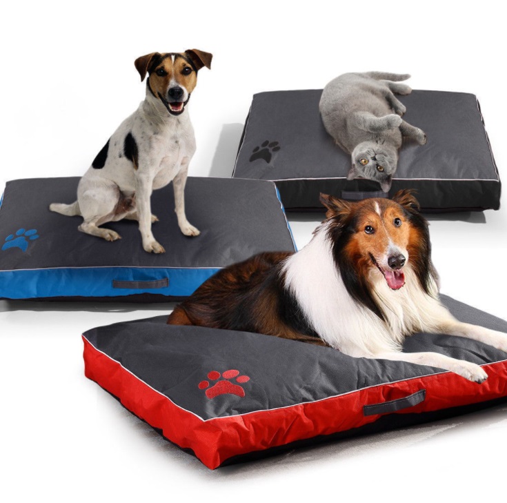 kong mat for dogs