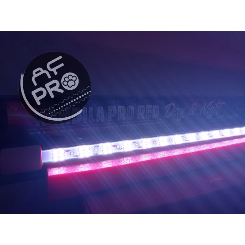 LAMPU LED TANNING AQUARIUM KANDILA DAY NIGHT 600