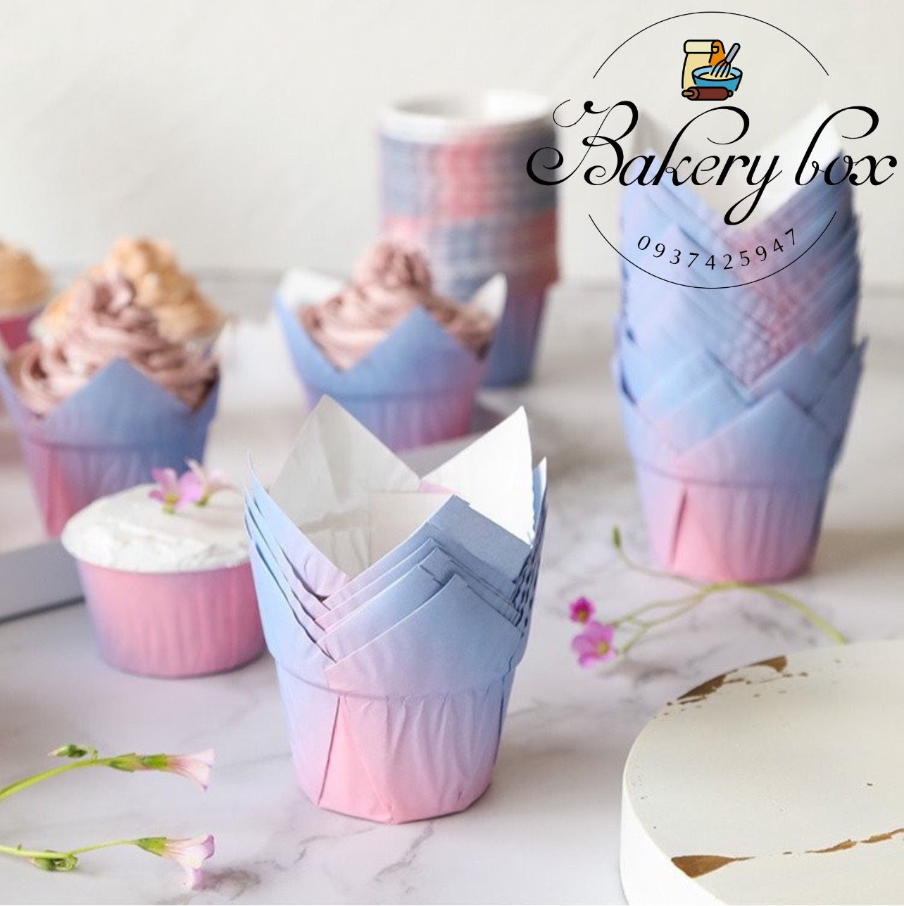 200 cupcake giấy hoa tulip nướng bánh đủ màu sắc