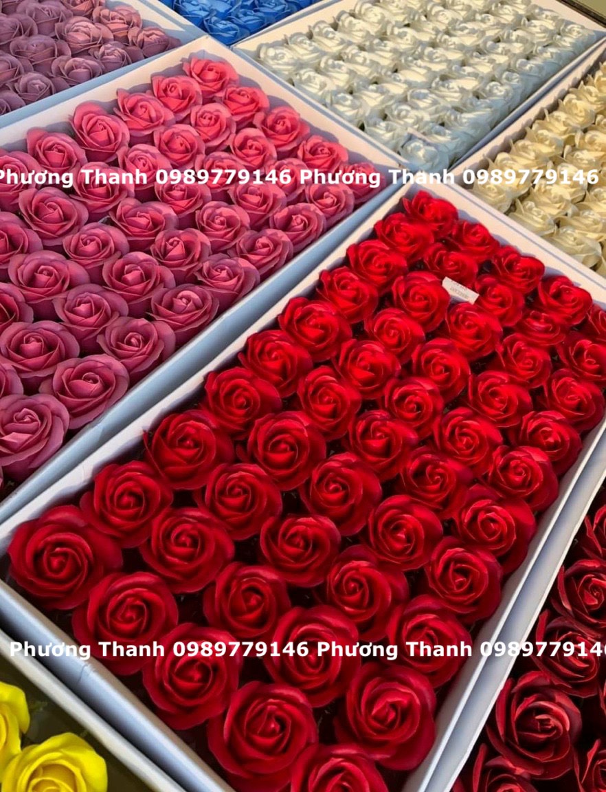 HOA HỒNG SÁP THƠM, Hộp 50 bông