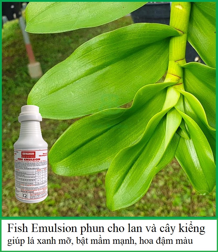 Phân cá (Đạm cá) cô đặc Mỹ Fish Emulsion 500ml dùng cho mọi cây trồng