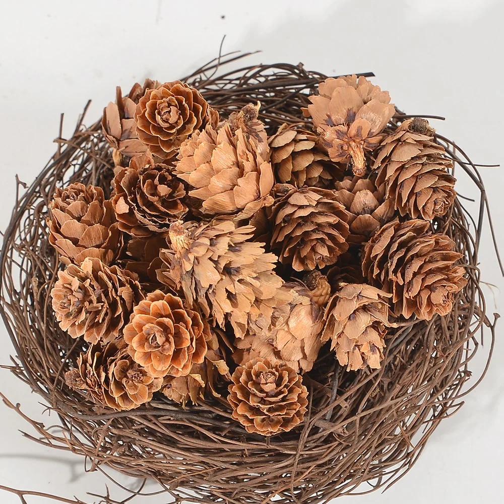【Worth-Buy】 10/50pcs Natural Mini Pine Nuts Artificial Fruit Vegetable For Diy Home Wedding Decoration Tree Decoration