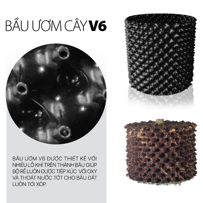 Cuộn 50m Bầu ươm cây V6 cao 20cm (tặng kèm 60 vít)