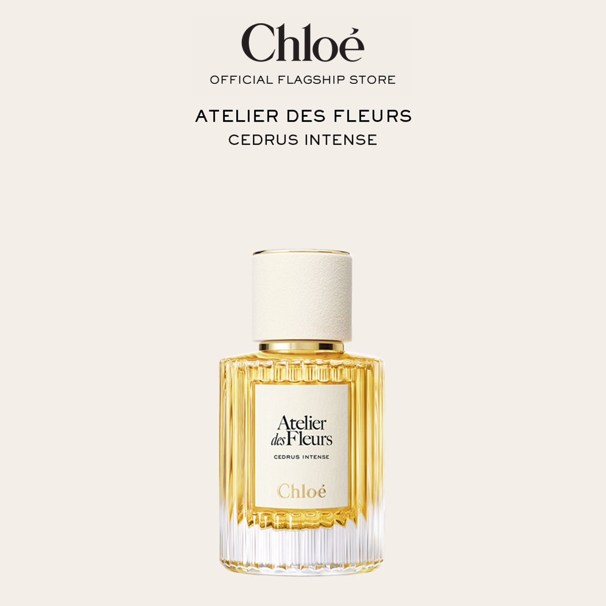 Chloé Atelier des Fleurs Cedrus Intense Eau de Parfum for Women