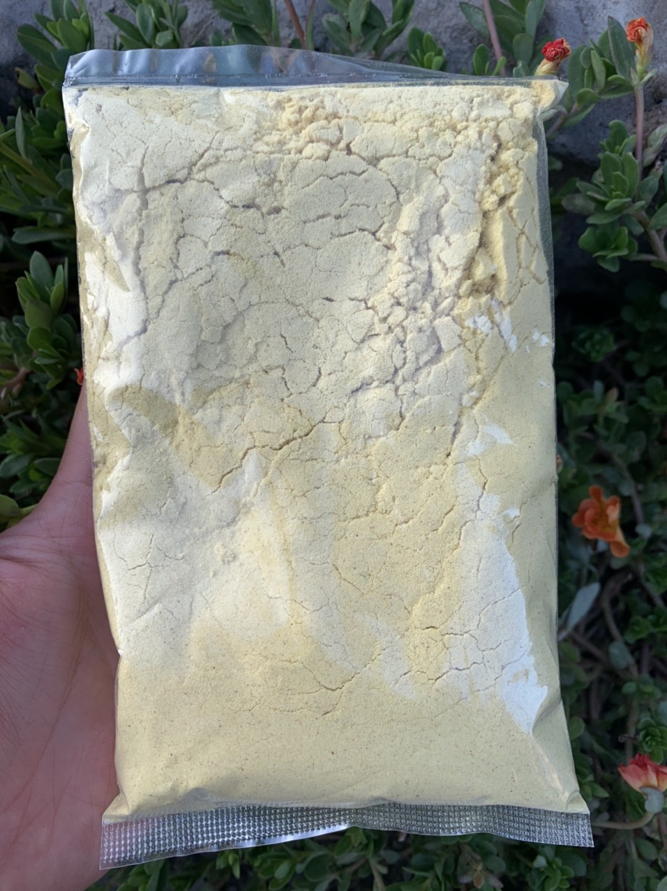 BỘT TẠO DẺO MỒI CÂU