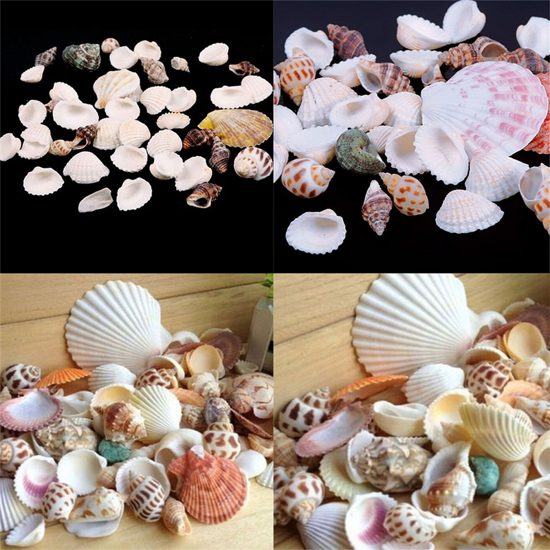 100g Beach Mixed SeaShells Mix Sea Shells Shell Craft SeaShells Aquarium Decor. 
