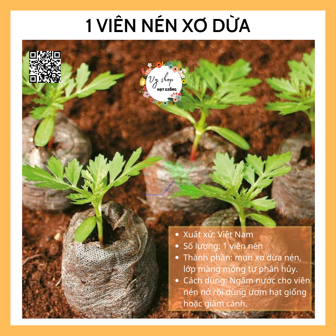 1 Viên nén xơ dừa ươm hạt giống
