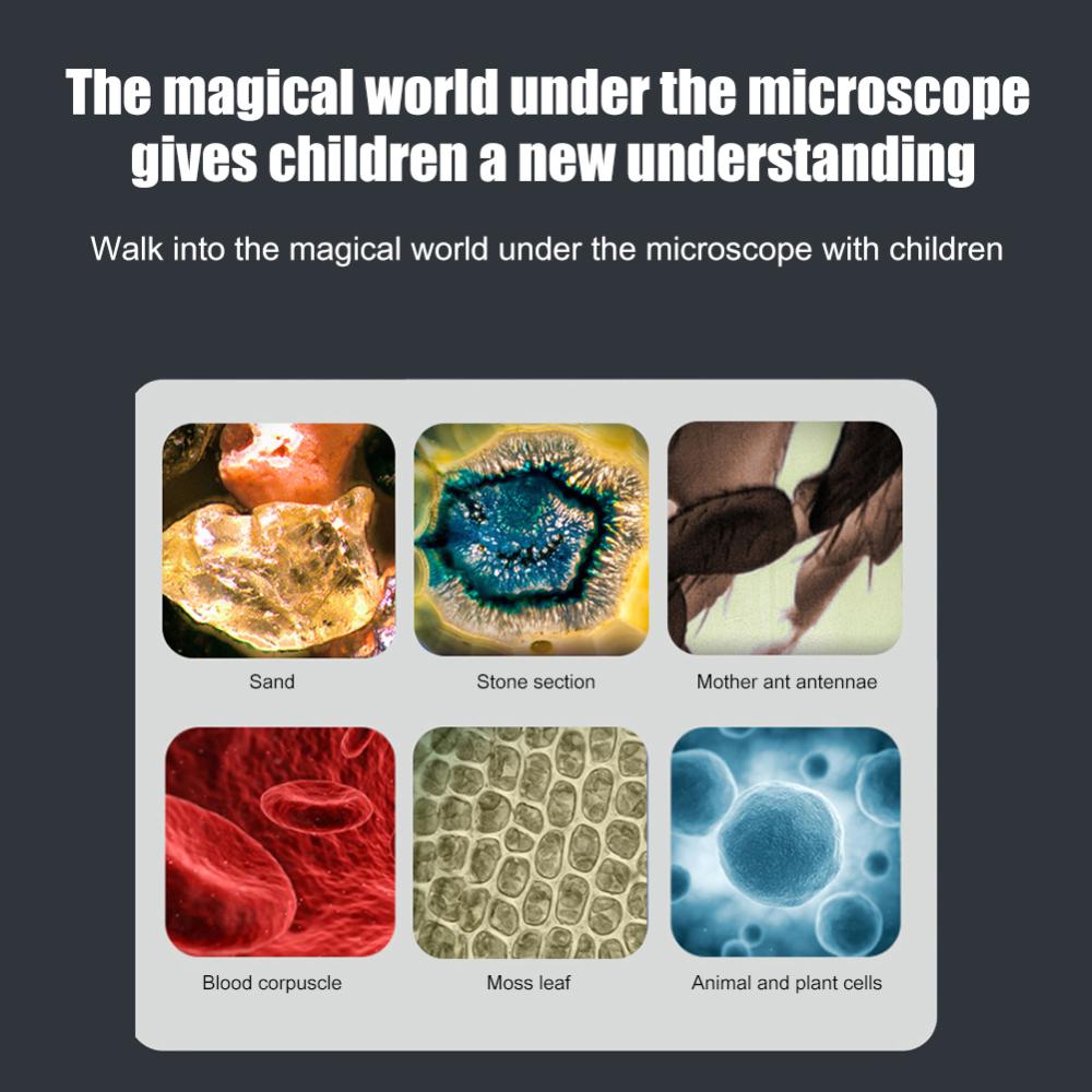 Mini Pocket Microscope Kit 60X-120X Handheld Microscope with LED Light for Kids