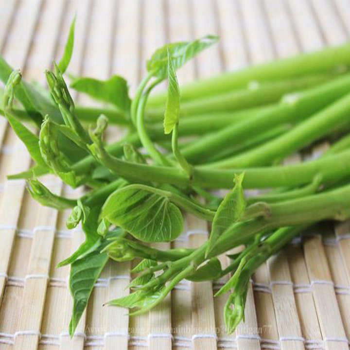 500 Gram hạt giống rau muống chùm ( rau muống siêu ngọn)