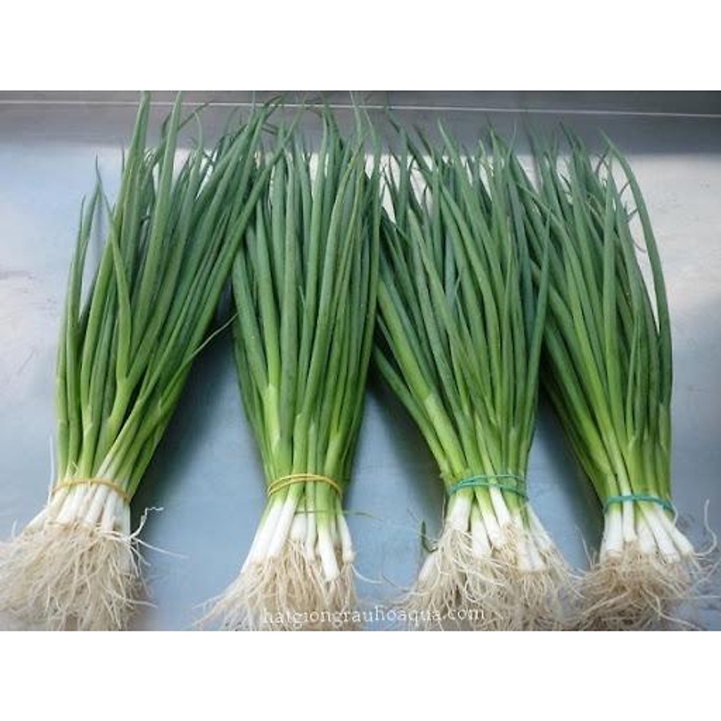 Hạt Giống Hành Lá Rado 25 gói 2.5gr