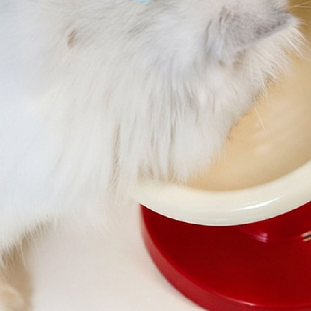 Easy%20To%20Clean%20Creative%20Cat%20Trophy%20Bowl%20Cartoon%20Ceramics%20Pet%20High%20Footed%20Bowl%20Stable%20Anti-flip%20Pet%20Food%20Dispenser%20Wet%20Dry%20Food%20-%20Image%203