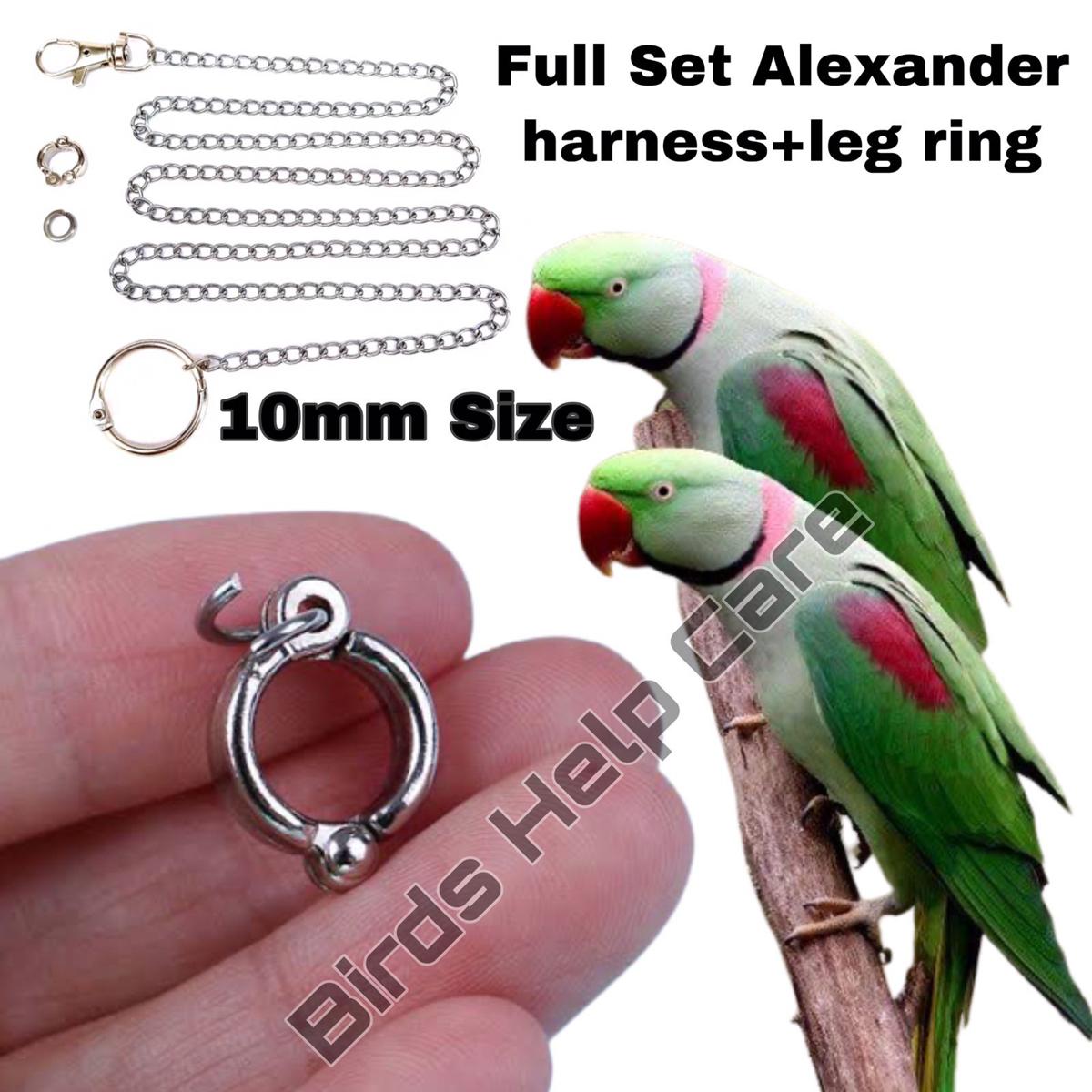 Steel%20China%20Ring%20+Harness%20FullSet%20for%20Alexander%20PARROT%2010mm%20Size%20-%20Image%202