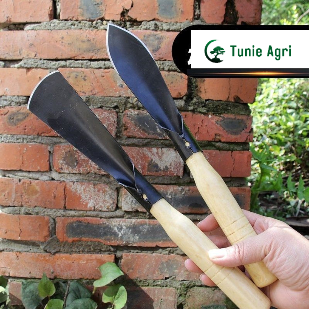 Xẻng trồng cây bay làm vườn INOX 304